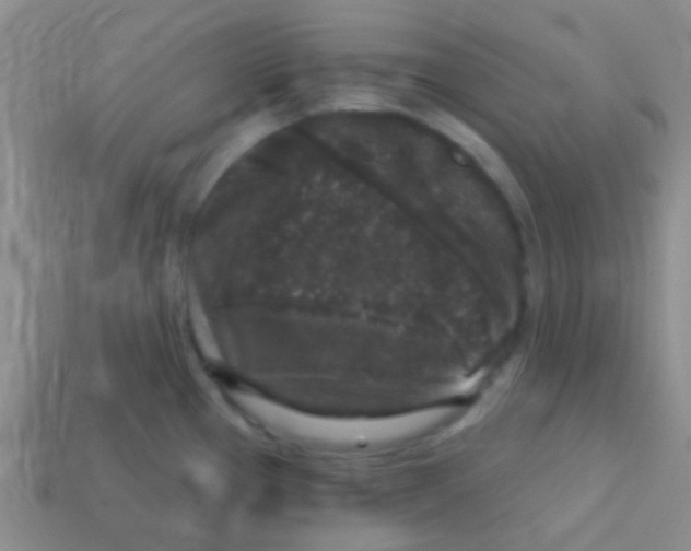 X0000113611337200910161920