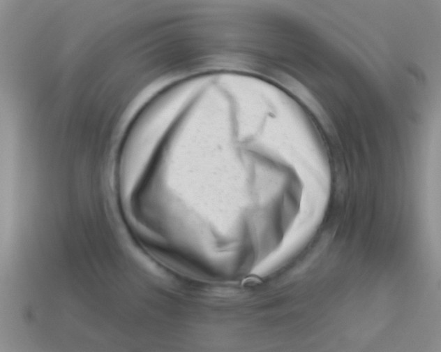 X0000113611339200910161920