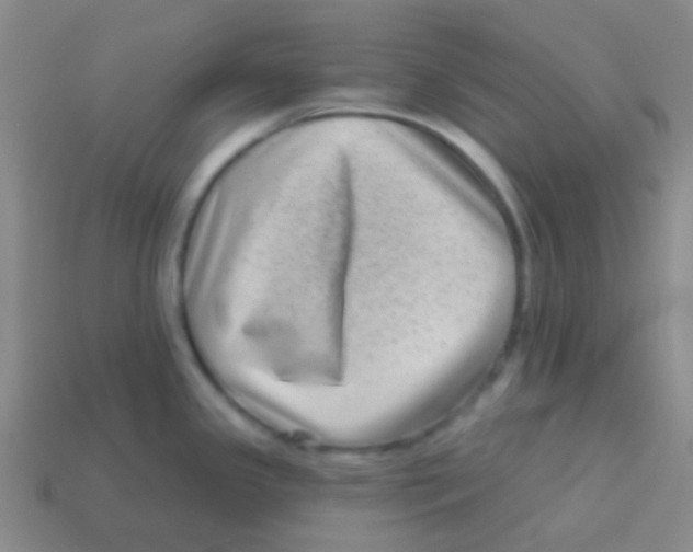 X0000113611341200910161920