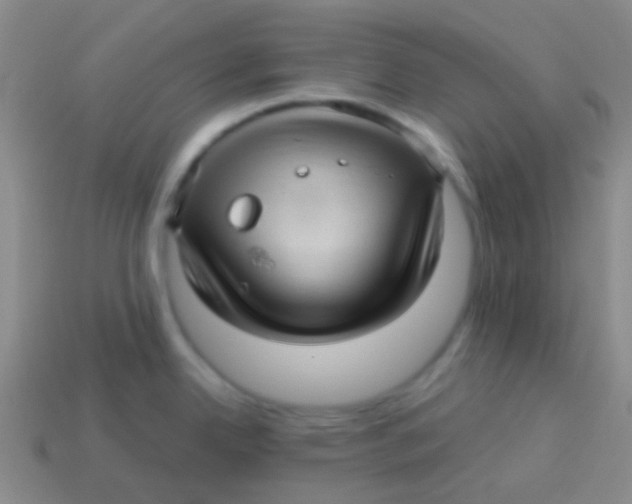 X0000113611342200910161920