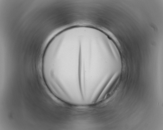 X0000113611343200910161920