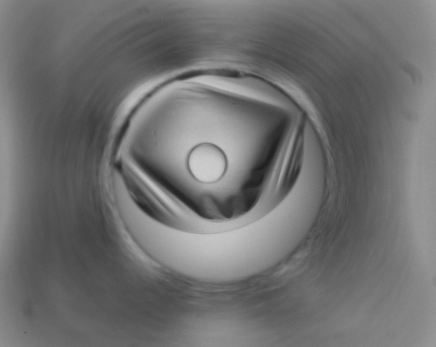 X0000113611344200910161920