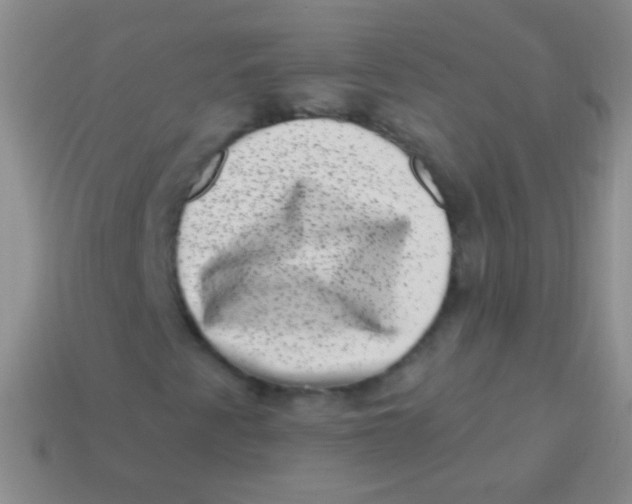 X0000113611345200910161920