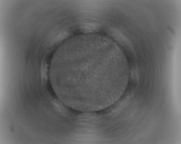 X0000113611346200910161920