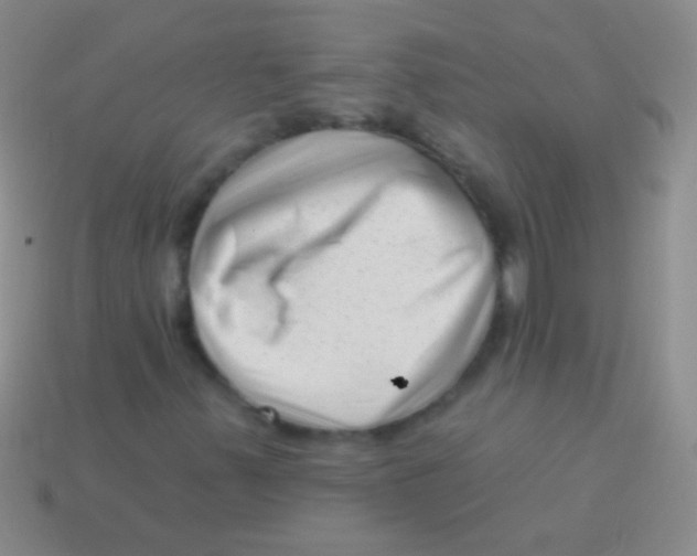 X0000113611347200910161920