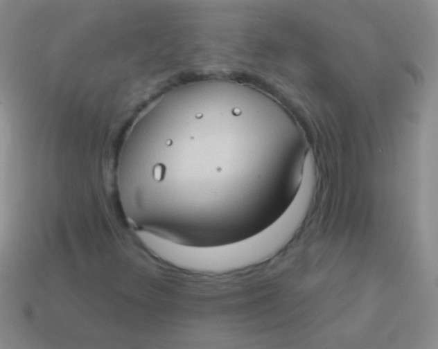 X0000113611348200910161920