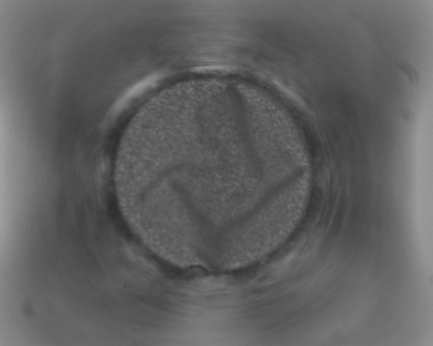 X0000113611351200910161920