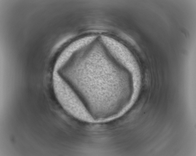 X0000113611352200910161920