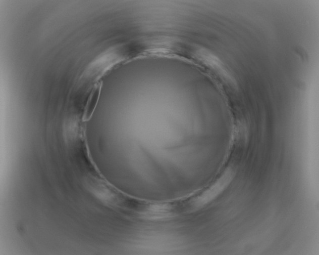 X0000113611353200910161920