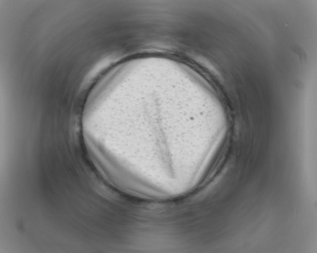 X0000113611355200910161919