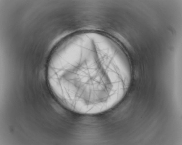 X0000113611356200910161919