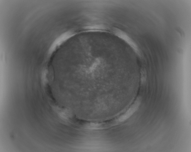 X0000113611357200910161919