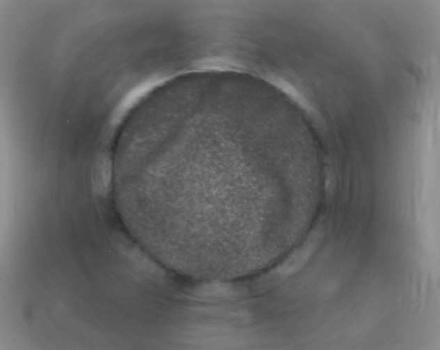 X0000113611358200910161919