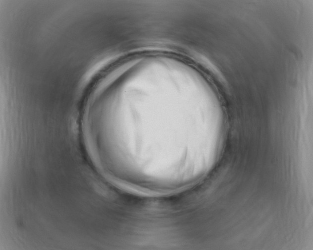 X0000113611360200910161919