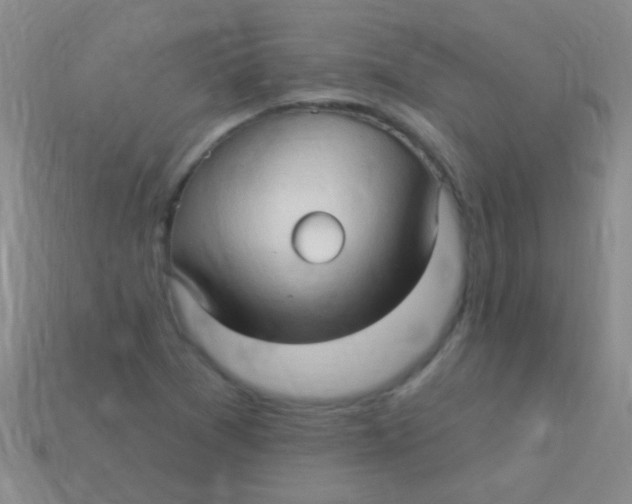 X0000113611361200910161919