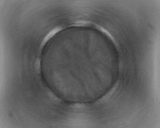 X0000113611362200910161919