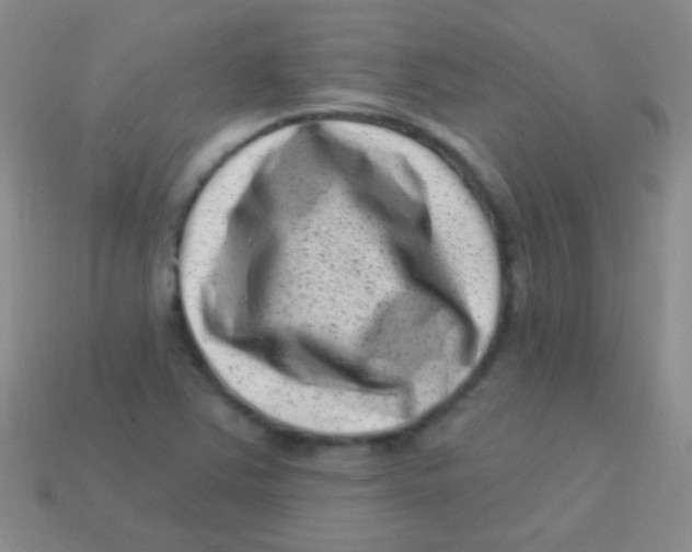 X0000113611363200910161919