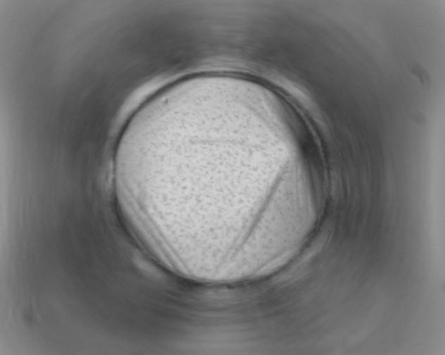 X0000113611366200910161919