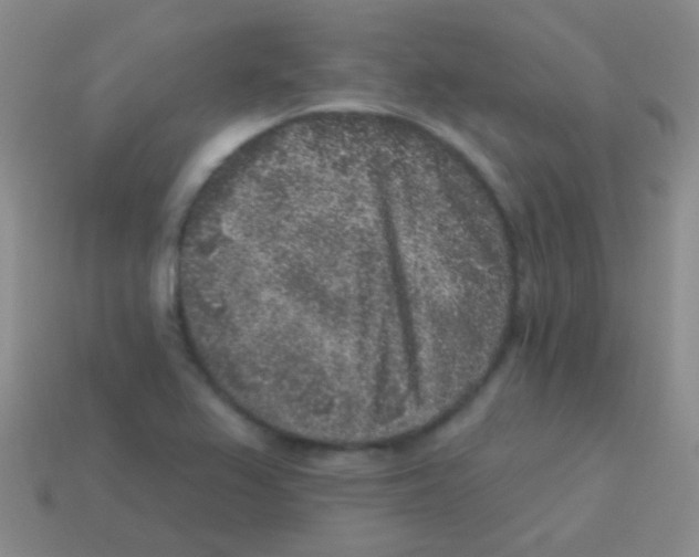 X0000113611367200910161919