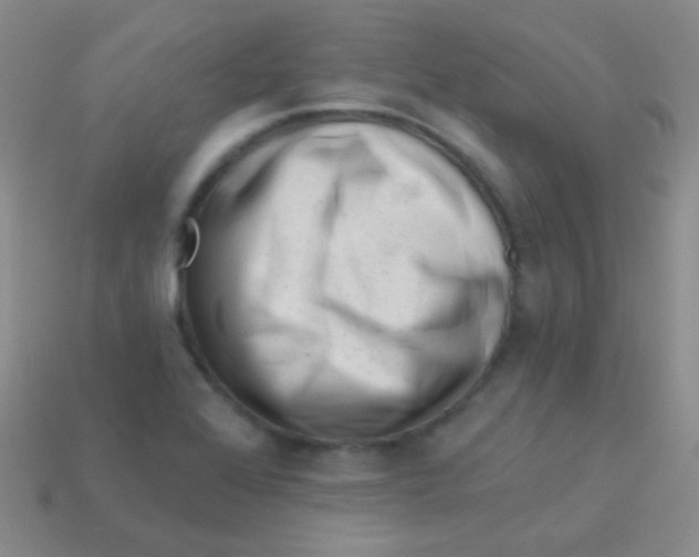 X0000113611368200910161919