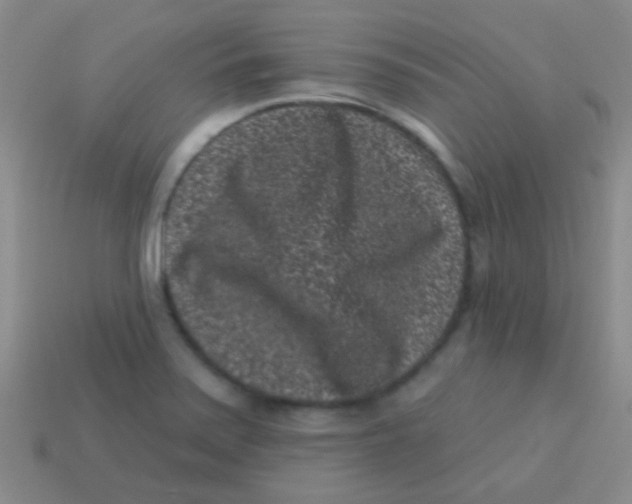 X0000113611371200910161919