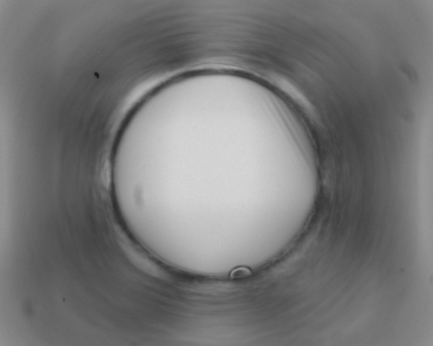 X0000113611372200910161919