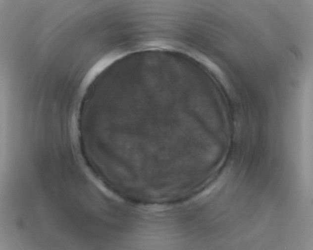 X0000113611373200910161919