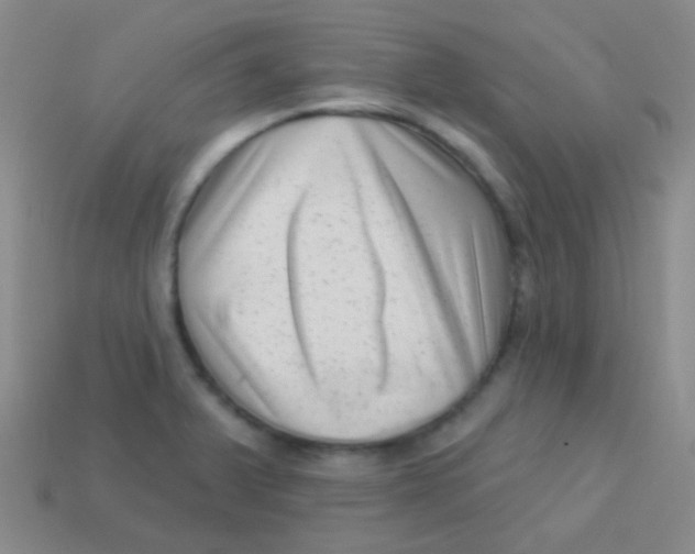 X0000113611375200910161919