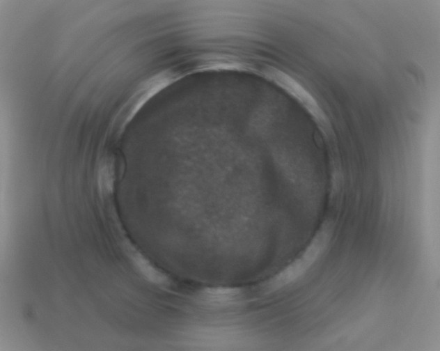 X0000113611377200910161919