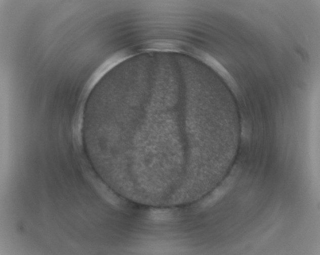 X0000113611378200910161919