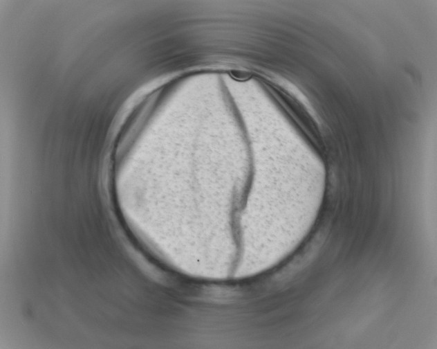 X0000113611379200910161919