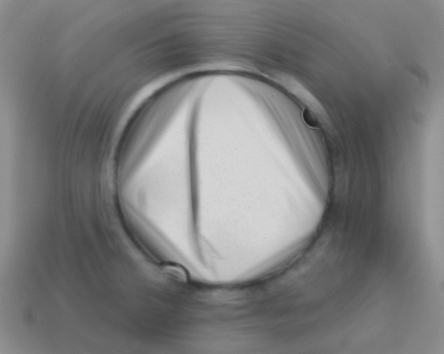 X0000113611380200910161919