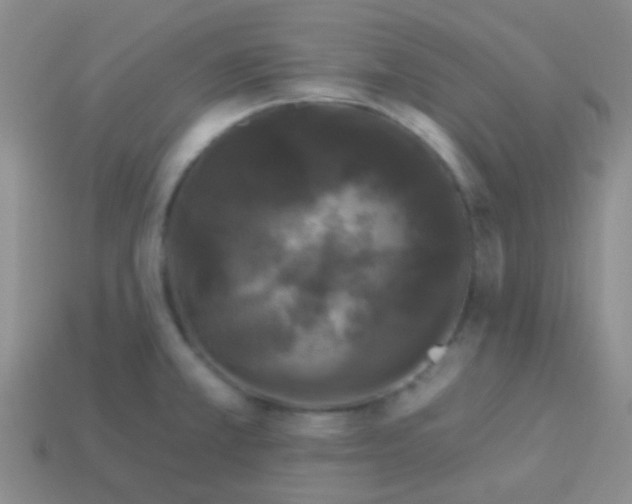 X0000113611381200910161919