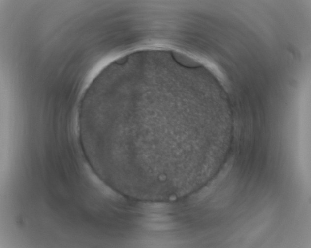 X0000113611382200910161919