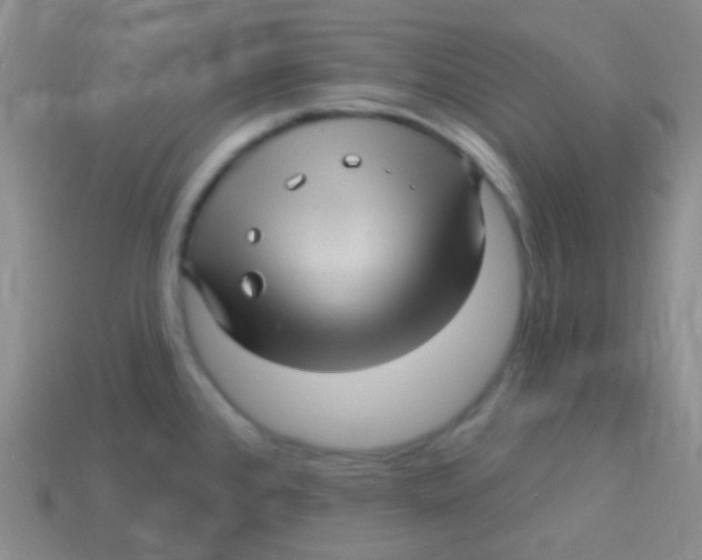 X0000113611384200910161919