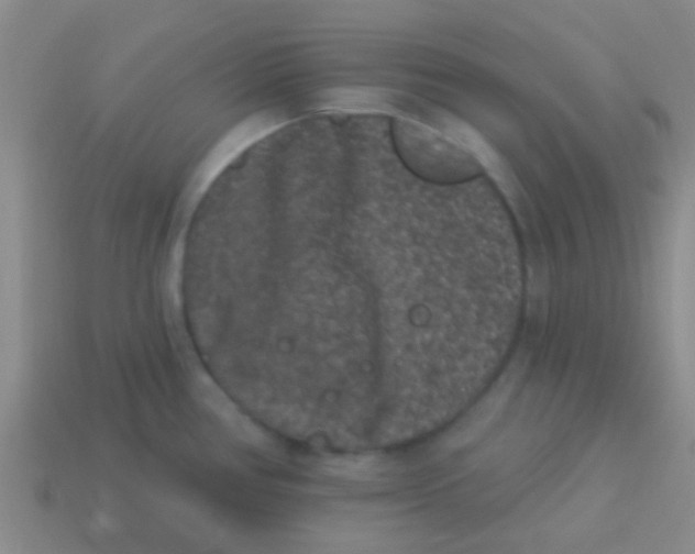 X0000113611386200910161919