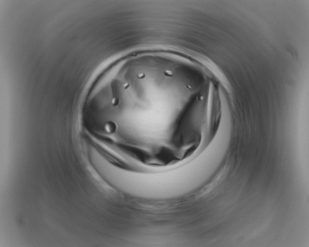 X0000113611388200910161919