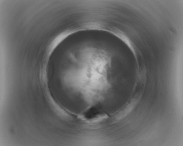 X0000113611389200910161919