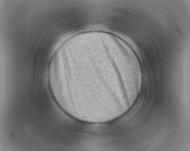 X0000113611390200910161919