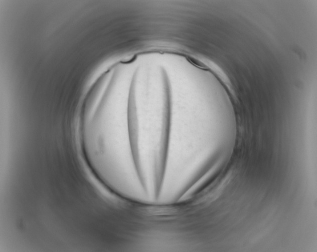 X0000113611391200910161919