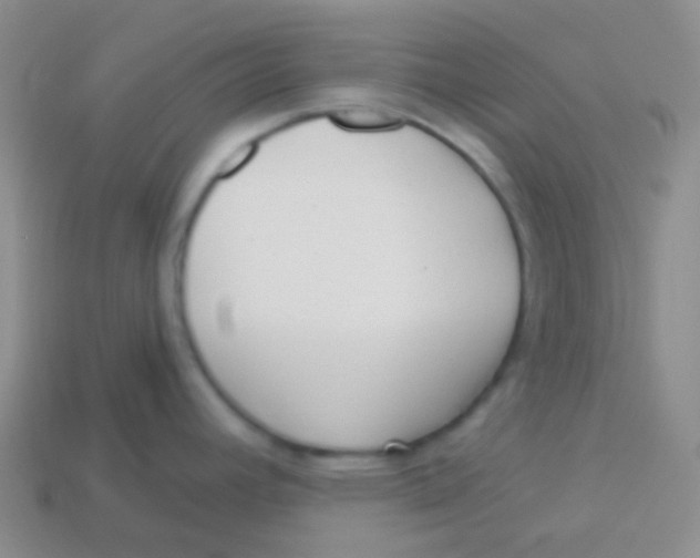 X0000113611392200910161919