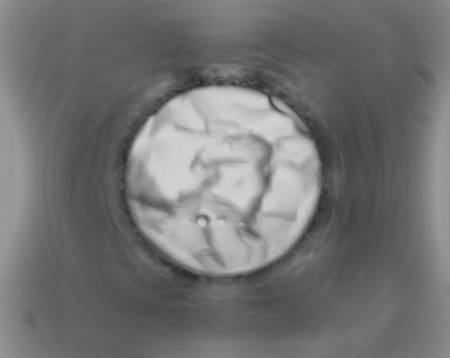 X0000113611393200910161918