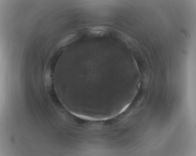 X0000113611394200910161918