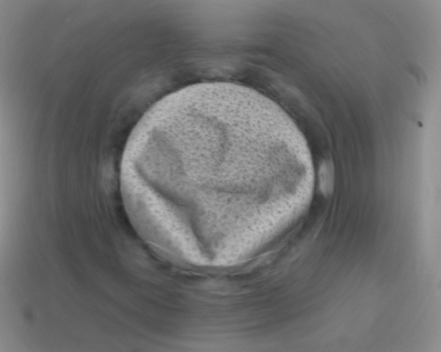 X0000113611395200910161918