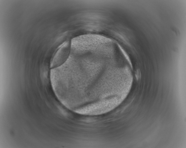 X0000113611396200910161918