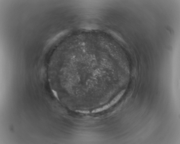 X0000113611398200910161918