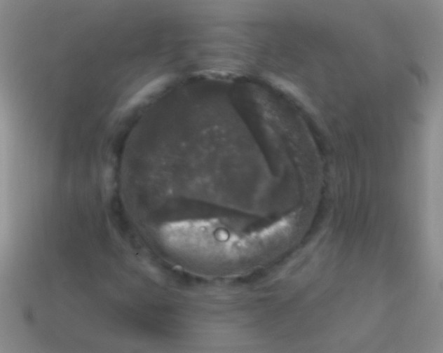 X0000113611399200910161918