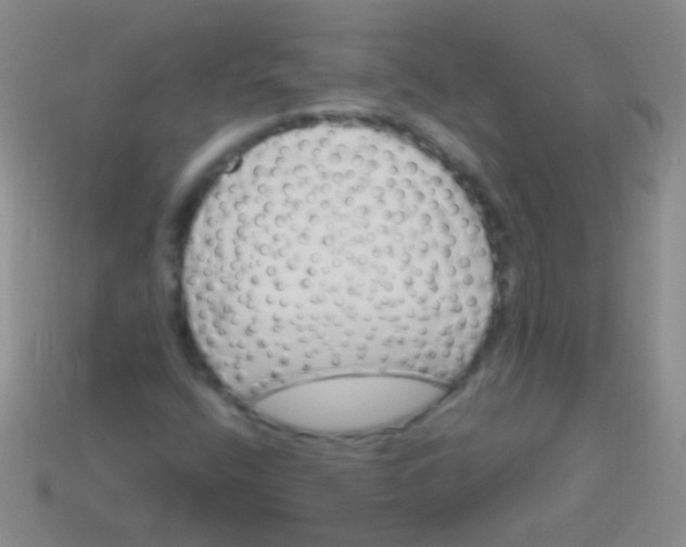 X0000113611400200910161918