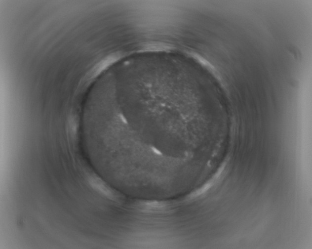 X0000113611401200910161918