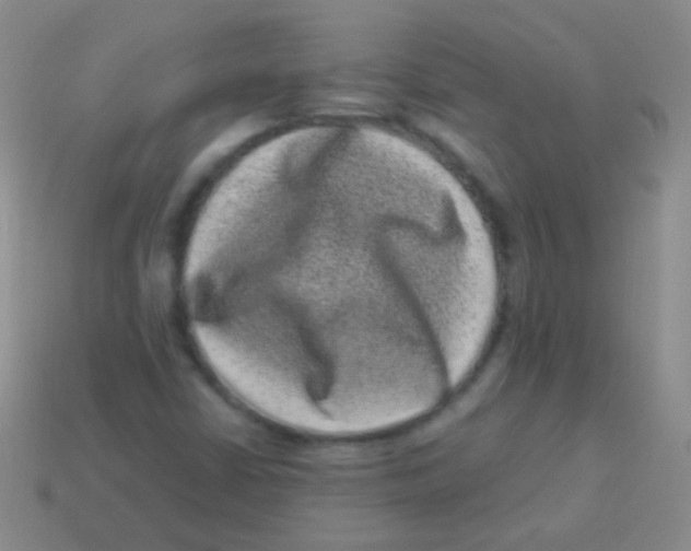 X0000113611402200910161918